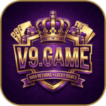 V9 Game
